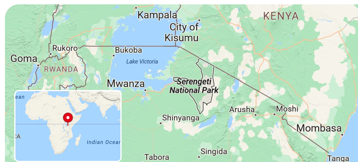 Serengeti National Park, Tanzania